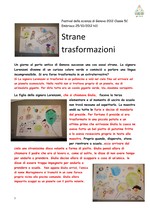 STRANE TRASFORMAZIONI