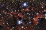 Le ali della Nebulosa Gabbiano