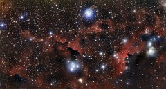 Le ali della Nebulosa Gabbiano